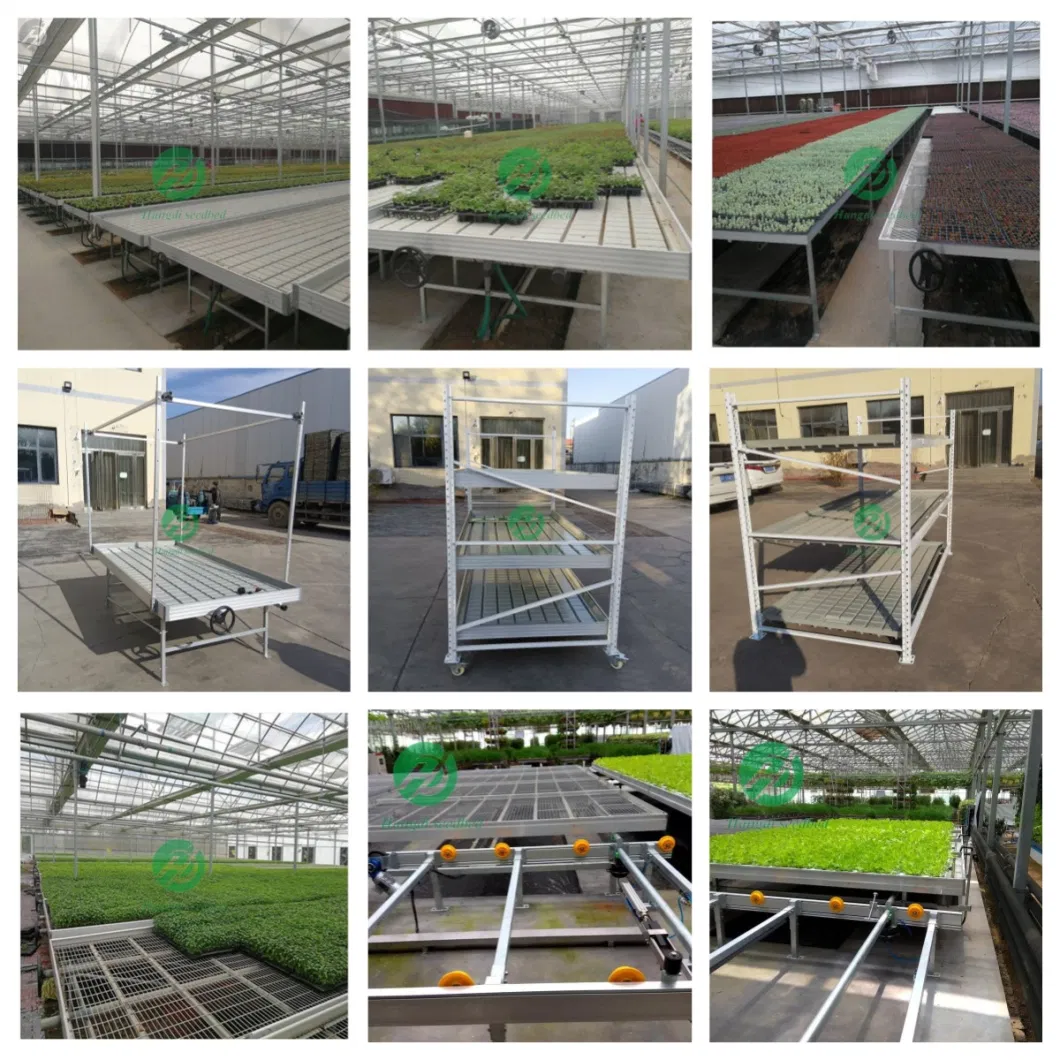 Hot Sale Low Cost Agricultural Tunnel Greenhouse Seedbed Bench System