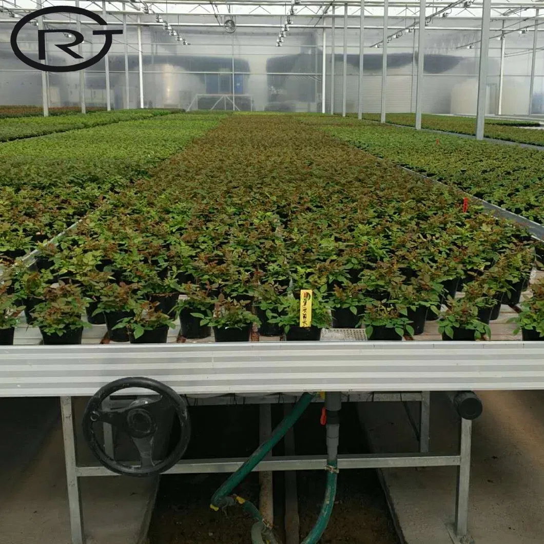 Greenhouse Rolling Table Grow Benches and Seedbed Ebb Flow System