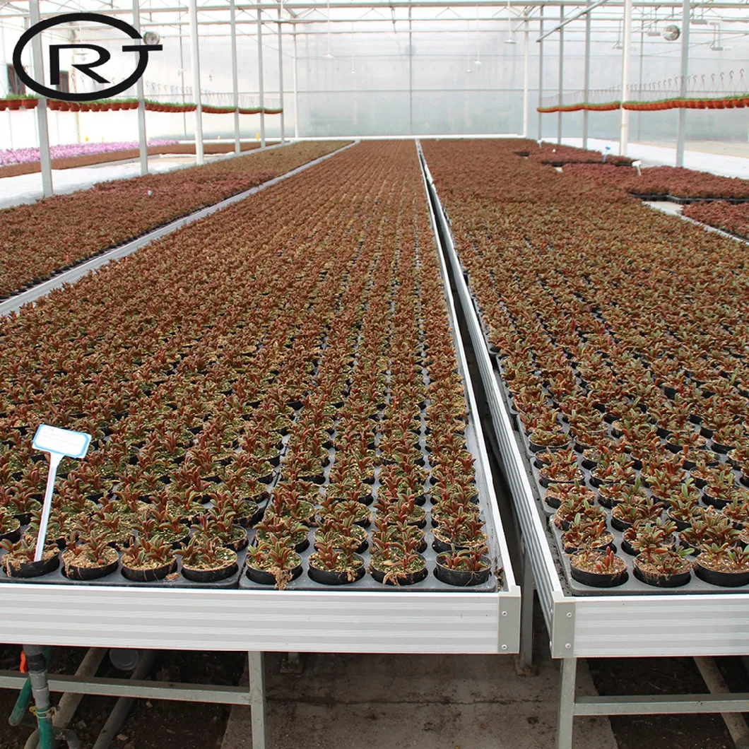 Greenhouse Rolling Table Grow Benches and Seedbed Ebb Flow System