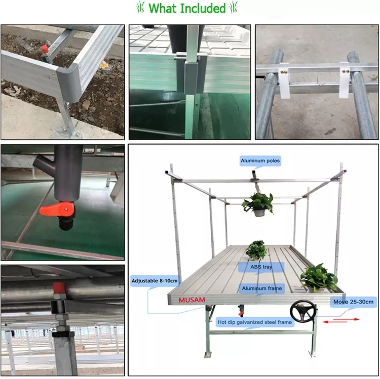 High Quality Greenhouse Galvanized-Steel Rolling Bench Seedbed System for Agricultural Planting Seedbed Greenhouse Producers