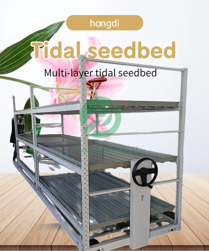 Hydroponic Grow Plant Seedbed Ebb and Flow Growing Systems for Agricultural Planting Multi Layers System