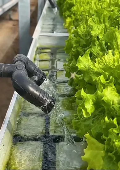 Nursery Nursery Hydroponic Movable Rolling System Flood Table Undulation and Trays 