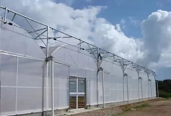 Aquaponics Equipment for Sustainable Farming 