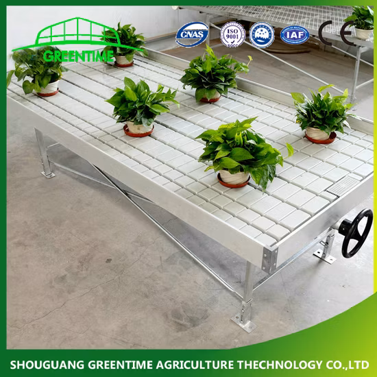 Greenhouse Hydroponics System 4X8 Rolling Bench Ebb and Flow Planting Table for Sale 