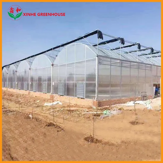 Greenhouse Clip/Clamp Commercial Solar Tunnel Plastic Grow Tent Spring Clip Accessories 