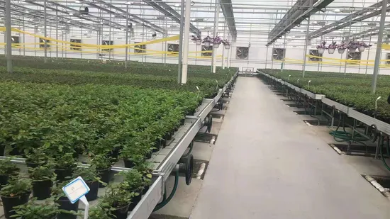 Irrigation Hydroponic Ebb and Flow Rolling Bench Growing Rack System Indoor Vegetable 