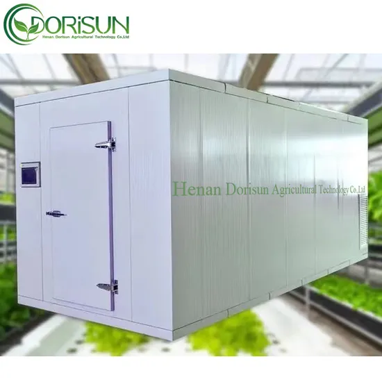 Smart Indoor Farming Equipment for Leafy Vegetables Automated Farm Container Greenhouse 