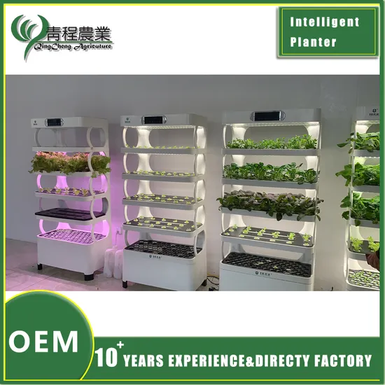 Hydroponic Gardening Solution for Smart Indoor Plant Care and Growth 