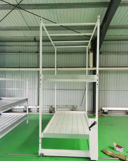 Grow Rack Double Layer Vertical Grow Table Rack Hydroponic Growing System Indoor 