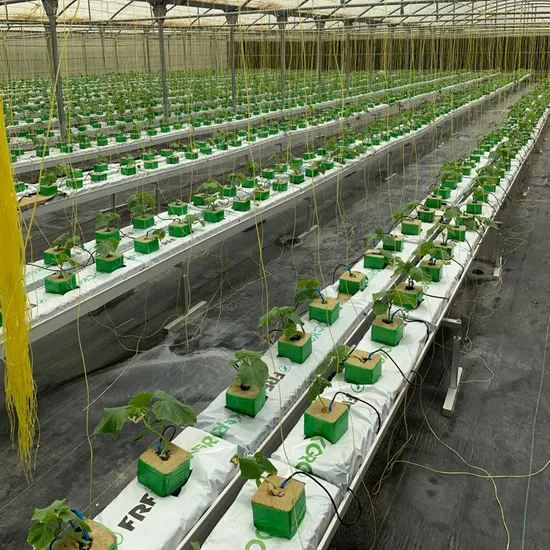 Hydroponics Gutter Greenhouse Gutter Support and Accessories Tomato Growing Equipment 