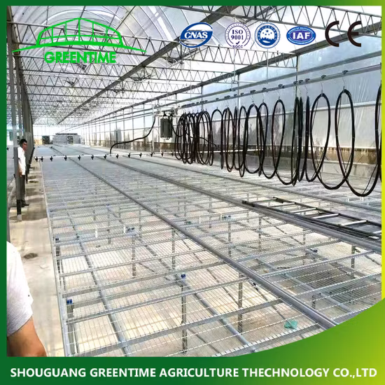 Mesh Commercial Rolling Bench System for Agricultural Planting Nursery 