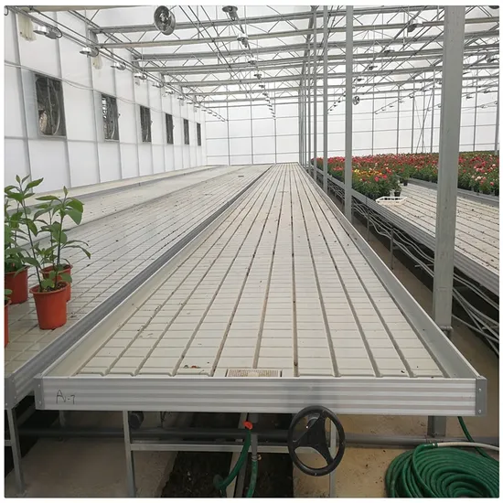 Space Saving Vertical Greenhouse Ebb and Flow Rolling Table Hydroponics Growing System 