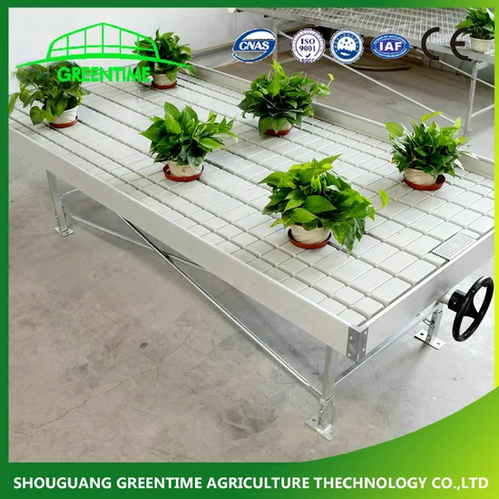 Greenhouse Hydroponics System 4X8 Rolling Bench Ebb and Flow Planting Table for Sale 
