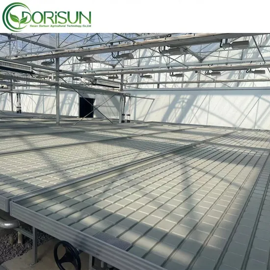 Mobile Seedbed Hydroponics Rolling Bench System 