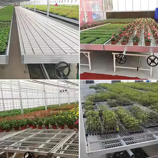 Greenhouse Planting Hydroponic Seeding Growing Bed Seedbed System Tidal Irrigation Flower Cultivation 