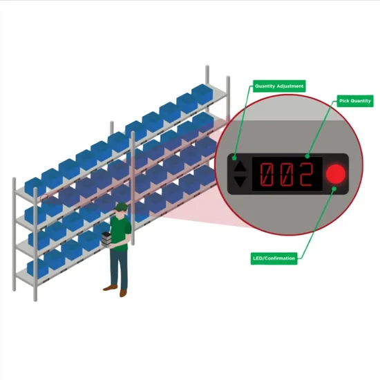 Advanced Seed Wall Sorting System for Efficient Operations 