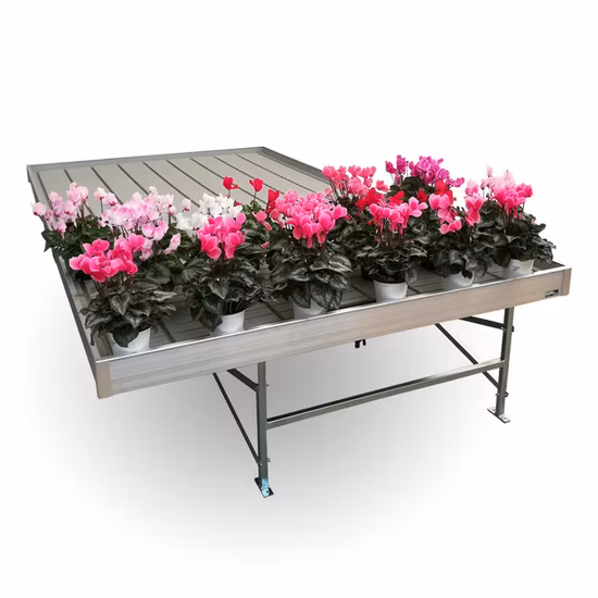 Hot Sales Greenhouse System Ebb and Flow Rolling Tables Bench with Hydroponic Flood Tray 