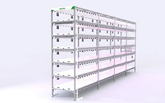 Reinfa Nft Hydroponic Setup Reliable System for Continuous Microgreens Production Vertical Hydroponic 