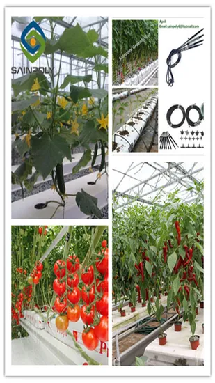 Polycarbonate and Vertical Greenhouse Complete Hydroponic System 
