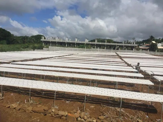 Best Nft Channel Agriculture Greenhouse Accessories Farming 