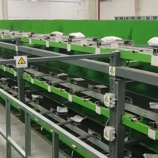 Advanced Parcel Processing System for Efficient Warehouse Management 