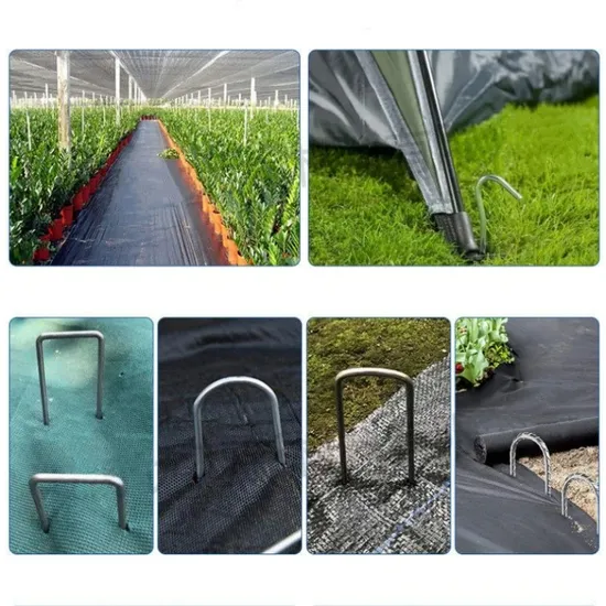 Futeng Wholesale OEM High Quality Wire Forms Greenhouse Accessories 