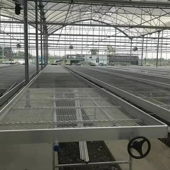 Agricultural Ebb Plastic Seeding Tray Rolling Table System for Planting Flow Seedbeds 